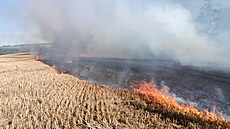 Rychle �í�ící se ohe� se z kamionu dostal i do travního prostoru vedle dálnice...