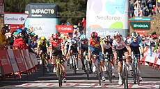 Jonas Vingegaard v �erveném trikotu dojí�dí do cíle �esté etapy Vuelty.