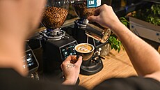 Ku�im a okolí voní kávou. V Hrad�anech pra�íme kávu srdcem