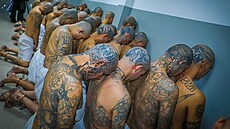 Výjime�ný stav byl p�itom n�kolikrát prodlou�en, letos 15. února ji� po...