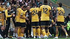 Trenér fotbalového Wolverhamptonu Vítor Pereira se svými svenci bhem...