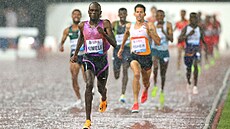 Upr�ená Diamantová liga ve �výcarsku.