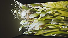 Ukázka umní z galerie Signal Space od Ondeje Zunky