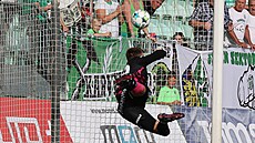 Teplický branká Matou Trmal inkasuje gól v utkání proti Karviné.