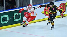 Momentka z utkání mezi Hradcem Králové a Brynäs.