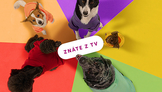 P�íb�h jak se ALEMAR zbavil stamilionového dluhu a vyrostl a� o 300 %