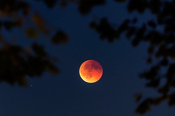 Krvavý msíc je vidt bhem úplného zatmní na obloze nad enevou ve výcarsku.