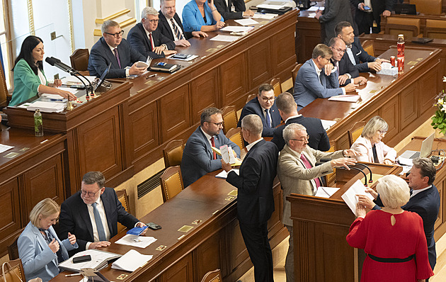 Výživná krmítka pro 174 poslanců. Zrušme příplatky za parlamentní funkce