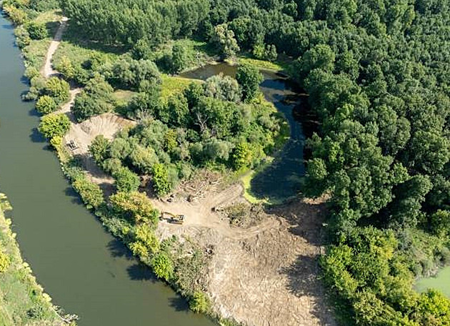 Dunaj s Dyjí lze propojit, potvrdili experti. Hrozbu představují invazivní druhy