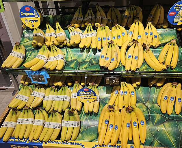 Jak se nakupuje v nizozemské „matce“ českého Alberta. Ceny někdy překvapí