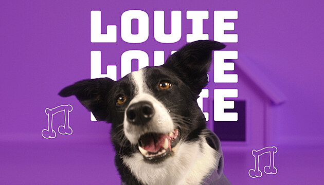 P��b�h jak se ALEMAR zbavil stamilionov�ho dluhu a vyrostl a� o 300 %