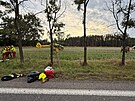 Tragickou dopravn nehodu dvou aut u Choustnkova Hradit na Trutnovsku...