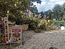Strom spadl na hlavn td Karlovch Var na prodejn stnky, zranil enu.