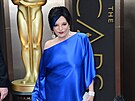 Premium Liza Minnelli