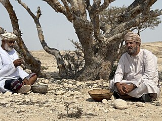 Mu�i sbírají kadidlovník. (27. �ervence 2025)