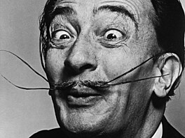 Portrét katalánského malí�e Salvadora Dalího od fotografa Philippa Halsmana...