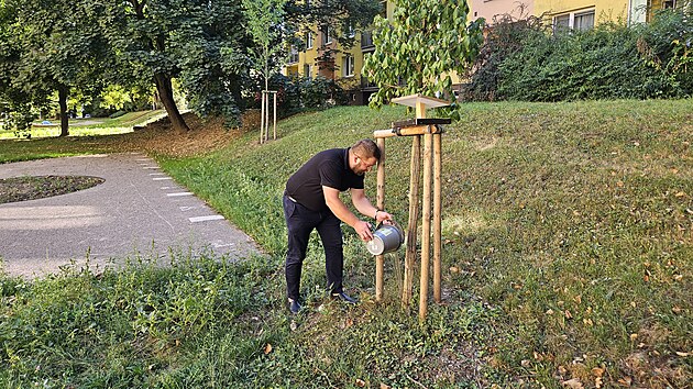 Dky projektu Ozy zelen mohou lid v osmi brnnskch lokalitch na zem ekovic a Medlnek zalvat stromy pmo ped vlastnm panelovm domem. (2025)