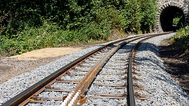 Tra s ozubnicovm psem bude mit pes tyi a pl kilometru.