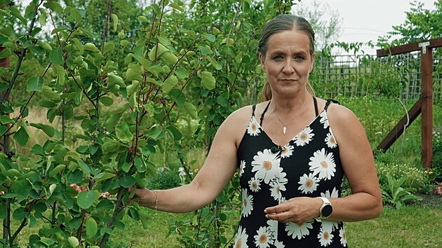 Zahradnice Lenka Eywa p�edstavuje muchovn�ky jako cenn� ke�e do zahrady. Plod�c� chutn� jedl� plody, i zdob�c� zahradu. 