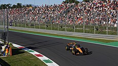 Lando Norris pi druhém tréninku na Velkou cenu Itálie.