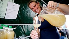 Slavnosti vína a bur�áku spojené s hudebním festivalem plným hv�zd prob�hnou v...