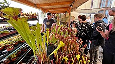 Prodejní výstava maso�ravek se vrací na terasu Jiho�eského muzea