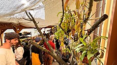 Prodejní výstava maso�ravek se vrací na terasu Jiho�eského muzea