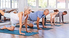 Dnení senioi jsou obecn vzato úpln jiní, ne tomu bývalo díve. Nejde jen o...