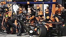 Oscar Piastri v boxech b�hem Velké ceny Itálie.