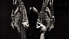 Obal alba Antidepressants