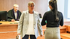 Okresní soud ve Vy�kov� otev�el p�ípad smrti studenta Univerzity obrany p�i...