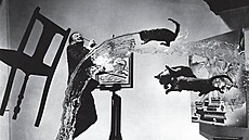 Snímek Dalí Atomicus od fotografa Philippa Halsmana (1948)