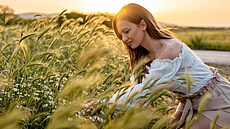 Kdo si v lét nasbíral hemánek, me si te uívat jeho benefit.