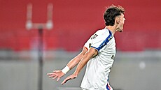 Luká� Ambros z Górniku Zabrze slaví gól.