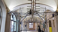 Ukázka z výstavy sou�asného um�ní J&T Banka Art Index Pop-up, na snímku dílo...