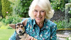 Královna Camilla a �t�n� Moley v Lacocku (14. �ervence 2025)