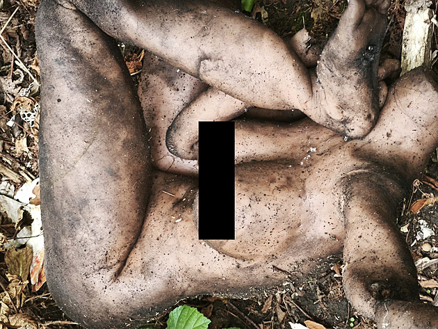 Uklízející nali na jedné z erných skládek v Ústí nad Labem silikonovou pannu....