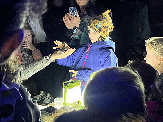 U pehrady Nadje se lidé dozvdli zajímavosti ze ivota netopýr.