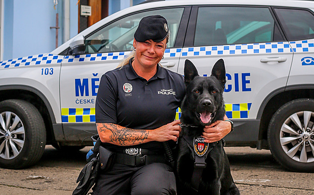 Maverickovi je rok a pl, je to vlastn teprve tn. Ale podle psovodky...