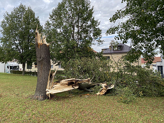 Ve Vysokém Mýt silná bouka polámala stromy. (15. záí 2025)