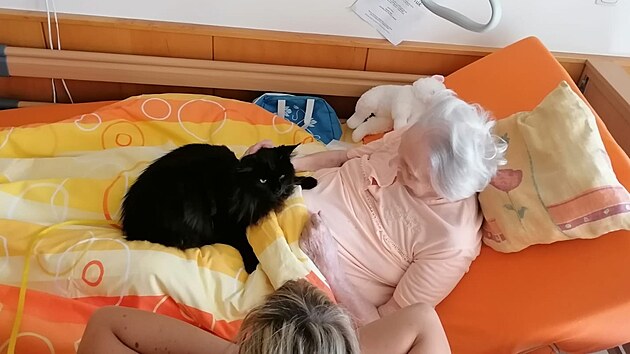 felinoterapie