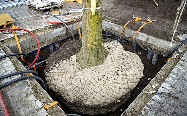 Zelen een pro udriteln mstsk prosted - Wavin TreeTank