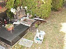 Pokozen hrob na hbitov v Olomouci Needn