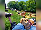 Spisovatel podporuje tran a handicapovan psy