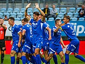 Luká Havel (2) z Táborska oslavuje gól se svými spoluhrái.