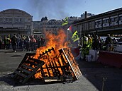 Desítky a stovky tisíc lidí po celé Francii vyly do ulic protestovat proti...