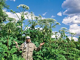 Bol�evník velkolepý se �p�ist�hoval� z Asie a je proslulý nejen jako agresor,...