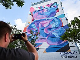 Nástenná malba na bytovém dom� v okupovaném Mariupolu. (7. �ervna 2024)