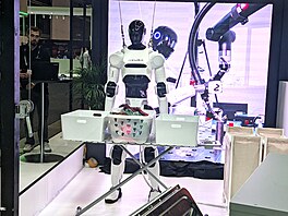 Takto má vypadat poádný pomocník do domácnosti. Také s ním poítá Neura pi...