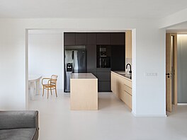 Típodlaní rodinný dm v praských imicích proel komplexní pestavbou podle...